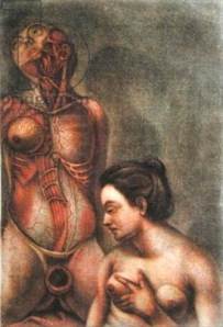 Jacques Gautier-d’Agoty, Anatomie des Parties de la generation de l’homme et de la femme