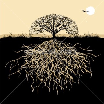 Tree with roots