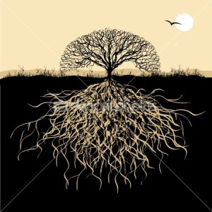 Tree with roots