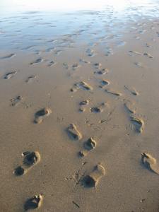 Footprints in the sand