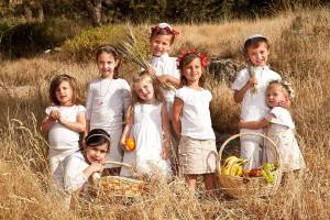 11988200_1196846487008542_5589645103555541411_n