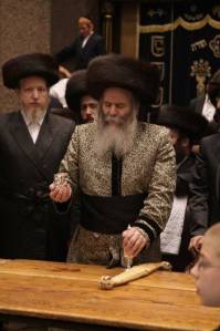 12115941_10207623537857321_4900029750085248143_n